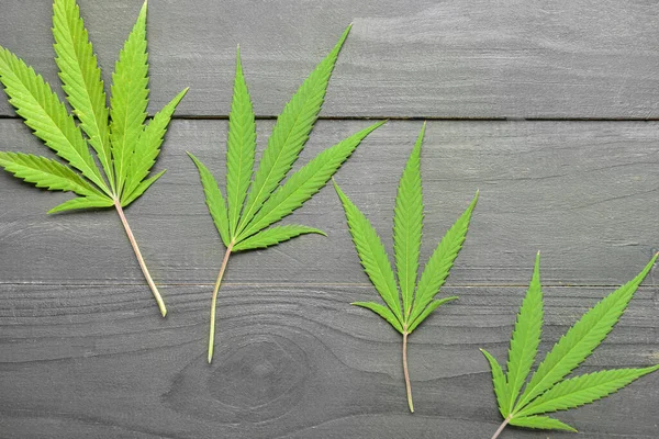Cannabis Folhas Fundo Madeira Preta — Fotografia de Stock