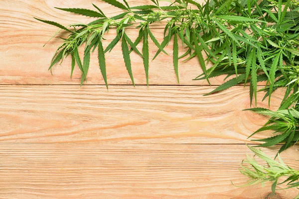 Cannabis Bushes Wooden Background Closeup — Stock Photo, Image