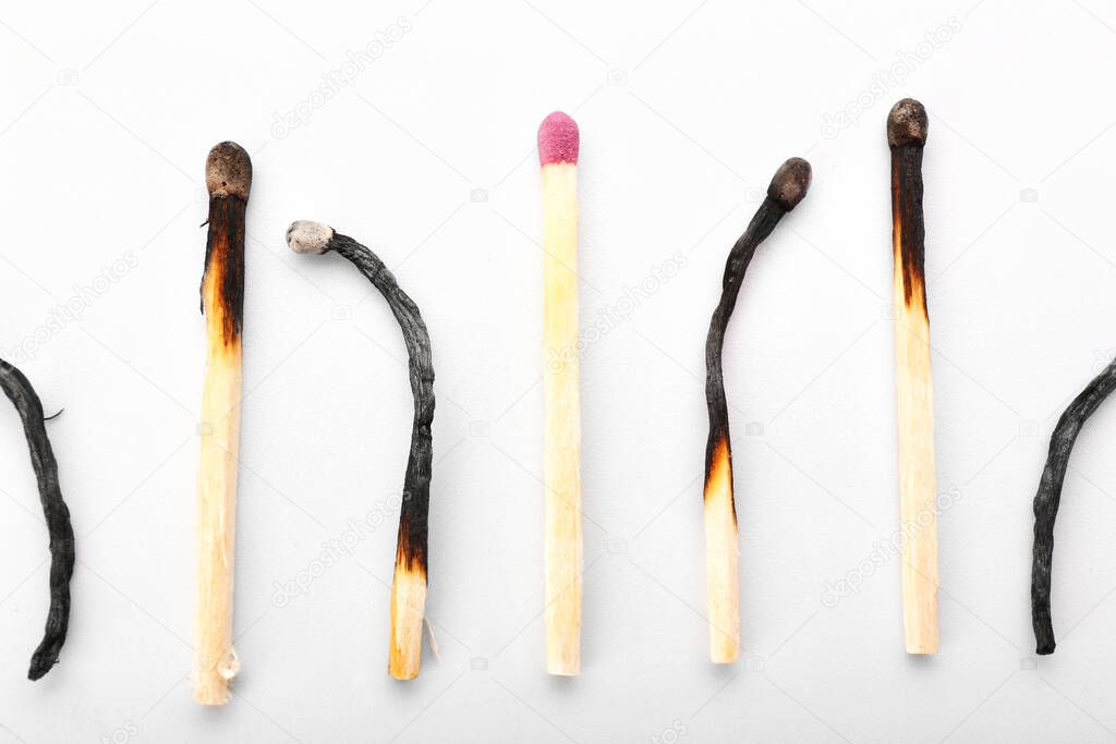 Unburnt match among burnt ones on white background, closeup. Concept of uniquness