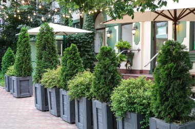 Şehrin modern binasının yakınında parlayan ampullerle güzel manzara tasarımı