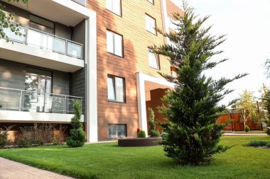Şehrin modern binasının yakınındaki kozalaklı ağaçlarla güzel manzara tasarımı