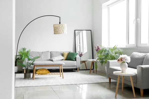 Interior Ruang Tamu Modern Dengan Sofa Cermin Dan Tanaman Rumah — Stok Foto