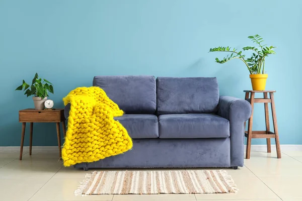 Interior Stylish Living Room Blue Sofa Houseplants — Stock Photo, Image