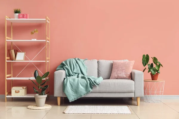 Interior Stylish Living Room Grey Sofa Shelving Unit Houseplants — Stock Photo, Image