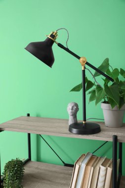 Raflarda siyah lamba, kitaplar ve yeşil duvarın yanındaki bitkiler.