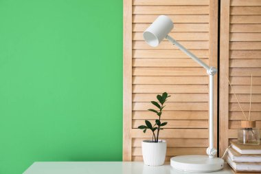 Beyaz lamba, saksı, sazlık ayırıcı, kitaplar ve yeşil duvarın yanındaki katlanır ekran.