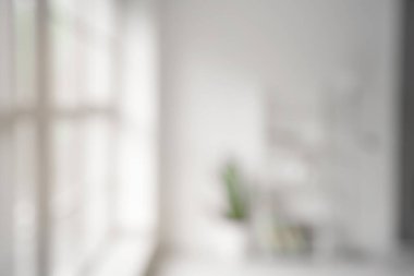 Raf ünitesi, ev bitkisi ve pencereli aydınlatma odasının bulanık görüntüsü