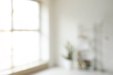 Raf ünitesi, ev bitkisi ve pencereli aydınlatma odasının bulanık görüntüsü