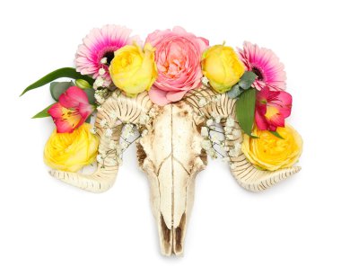 Beyaz arka planda çiçekli koyun kafatası