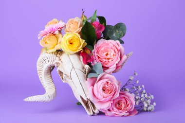 Renkli arka planda çiçekler olan koyun kafatası