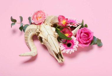 Renkli arka planda çiçekler olan koyun kafatası