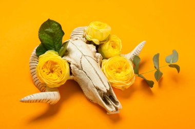 Renkli arka planda çiçekler olan koyun kafatası