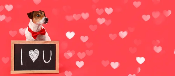 テキストのためのスペースと赤の背景に黒板とジャック ラッセル テリア バレンタインデーのお祝い — ストック写真