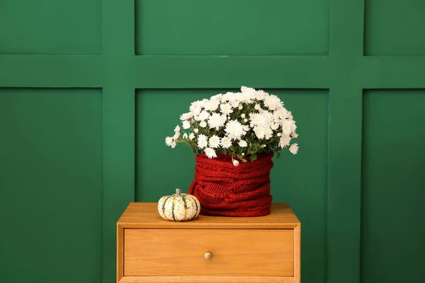 Beautiful White Chrysanthemum Flowers Pumpkin Wooden Table Color Wall — Stock Photo, Image