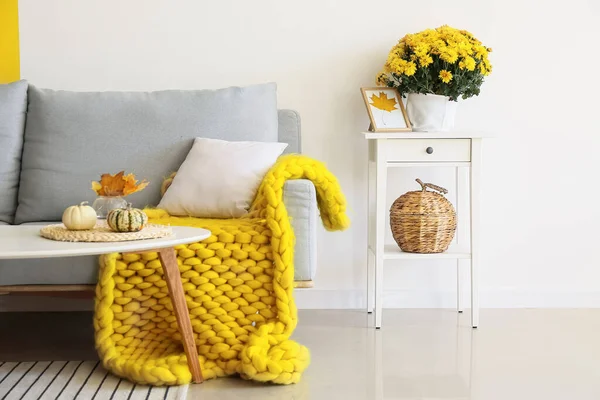 Comfortable Sofa Pot Beautiful Chrysanthemum Flowers Room — Stock Photo, Image