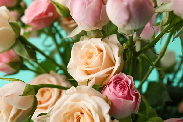 Vista Cerca Hermosas Rosas Pequeñas Sobre Fondo Verde —  Fotos de Stock