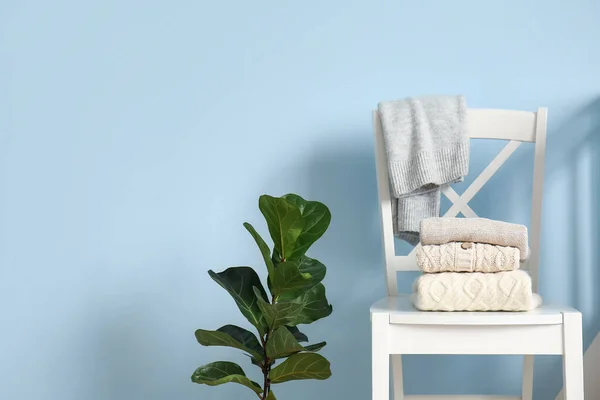 Παιδικά Πουλόβερ Λευκή Καρέκλα Και Φυτό Εσωτερικού Χώρου Κοντά Χρωματιστό — Φωτογραφία Αρχείου