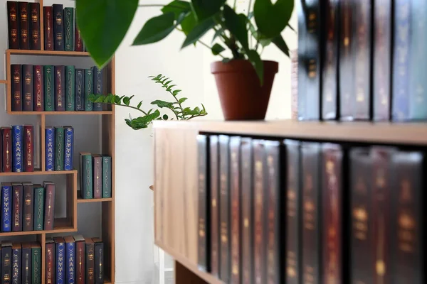 Bücherregal Aus Holz Der Nähe Einer Hellen Wand Zimmer — Stockfoto