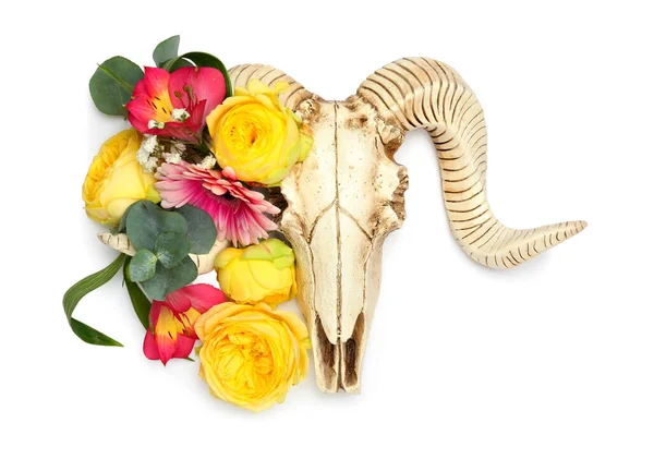 Skull Sheep Flowers White Background — Fotografia de Stock