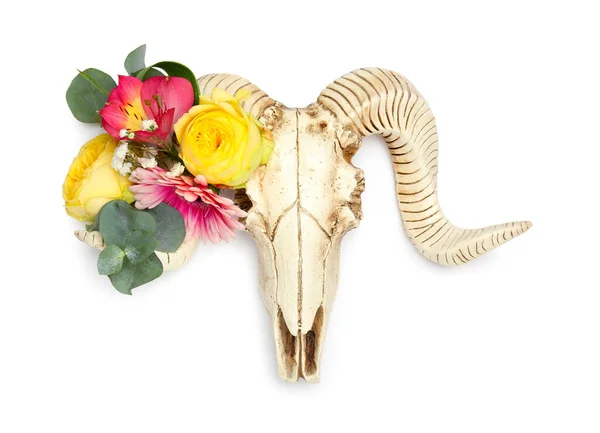 Skull Sheep Flowers White Background — Fotografia de Stock