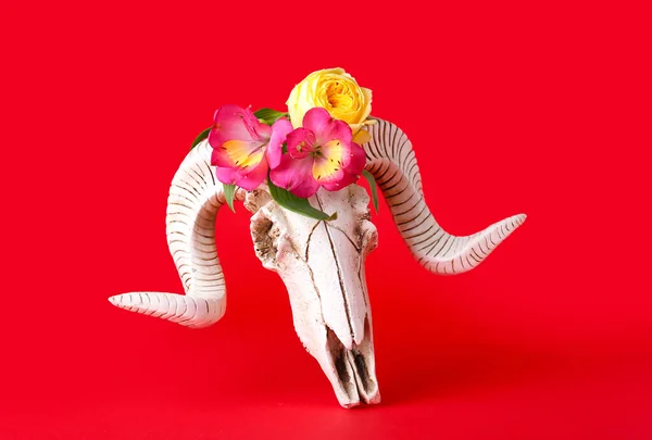 Cráneo Ovejas Con Flores Sobre Fondo Color —  Fotos de Stock