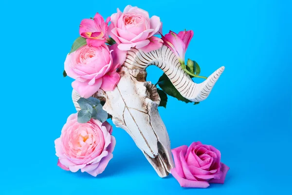 Schädel Von Schafen Mit Blumen Auf Farbigem Hintergrund — Stockfoto