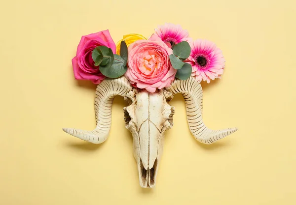 Skull Sheep Flowers Color Background — Stock Photo, Image