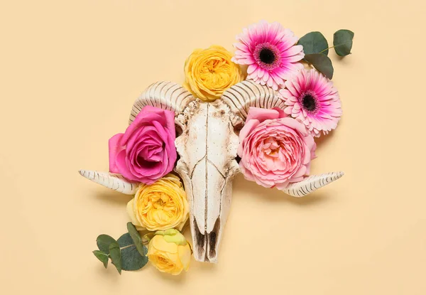 Lebka Ovcí Květinami Barevném Pozadí — Stock fotografie