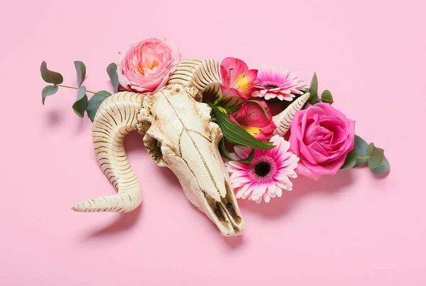 Crânio Ovelhas Com Flores Fundo Cor — Fotografia de Stock