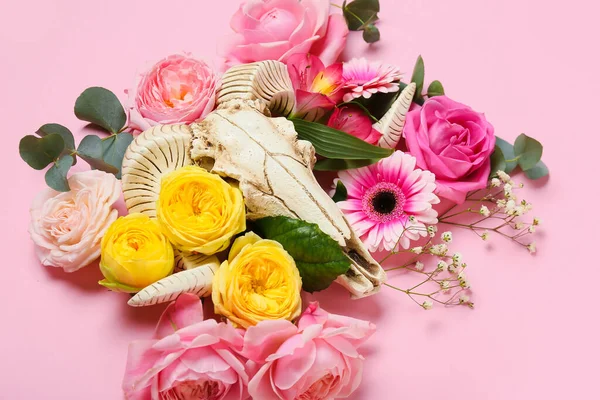 Schädel Von Schafen Mit Blumen Auf Farbigem Hintergrund — Stockfoto