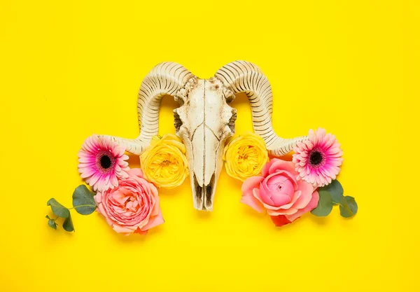 Schedel Van Schapen Met Bloemen Kleur Achtergrond — Stockfoto