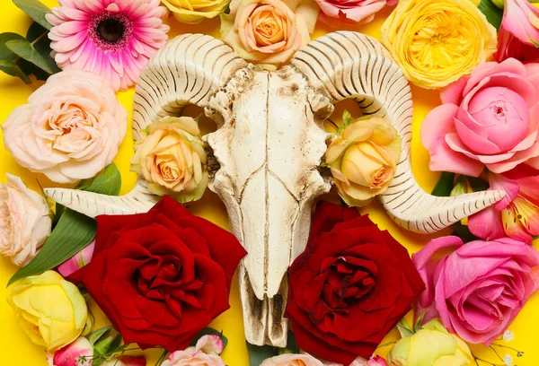 Lebka Ovcí Květinami Barevném Pozadí — Stock fotografie