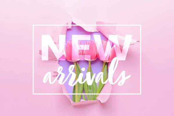 Tekst Nieuwe Arrivalen Met Tulpenbloemen Roze Achtergrond — Stockfoto