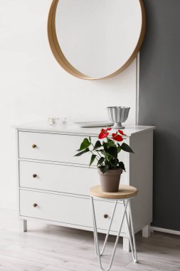 Masada ve çekmecelerde beyaz ve gri duvarın yanında güzel bir Anthurium çiçeği.