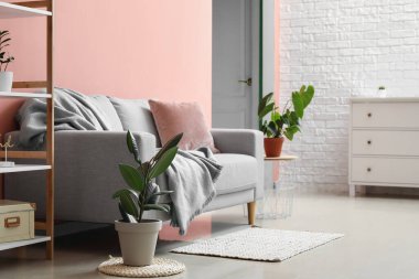 Gri kanepesi ve çiçekleri olan şık bir oturma odası.