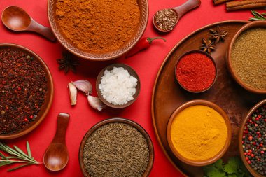 Kırmızı arka planda farklı baharatlara sahip kompozisyon