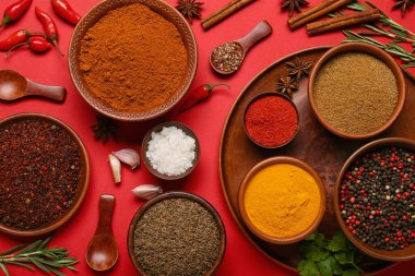 Kırmızı arka planda farklı baharatlara sahip kompozisyon