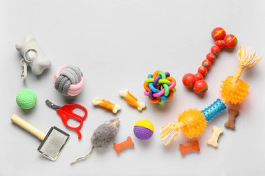 Beyaz arka planda izole edilmiş hayvan bakım aksesuarları ve atıştırmalıklar.