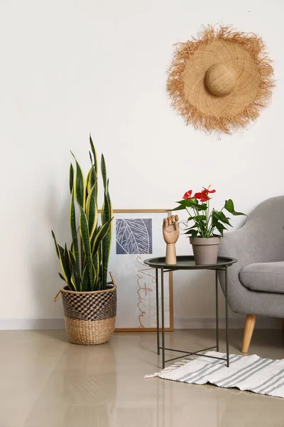 Anthurium flower in pot on table near armchair in room