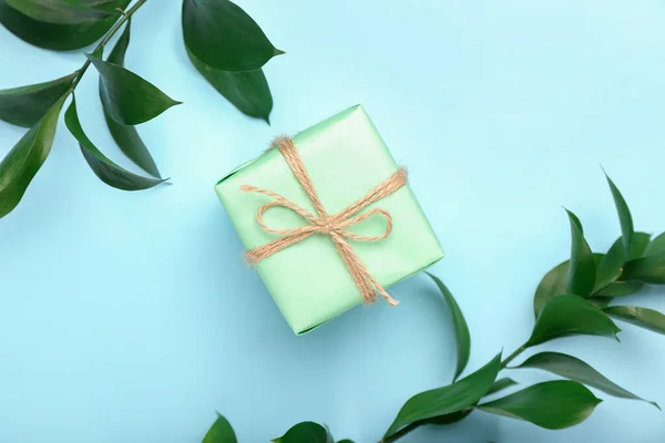 Geschenk Box Und Pflanzenzweige Auf Blauem Hintergrund — Stockfoto