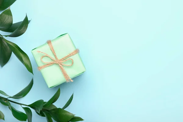 Geschenk Box Und Pflanzenzweige Auf Blauem Hintergrund — Stockfoto