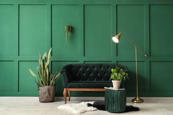 Interior Modern Living Room Sofa Green Wall — Stock Photo, Image