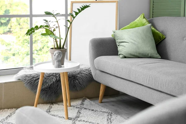 Interior Light Living Room Sofa Coffee Table Houseplant — Stock Photo, Image