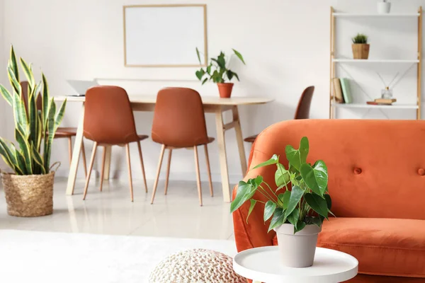 リビングルームの赤いソファの近くの観葉植物とテーブル — ストック写真