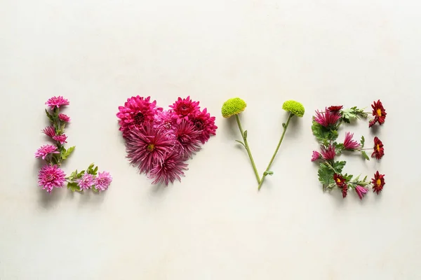 Слово Любов Квітів Хризантем Світлому Фоні — стокове фото