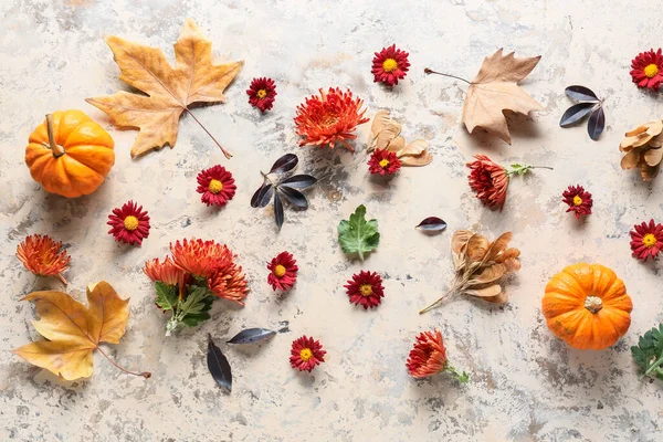 Σύνθεση Χρυσάνθεμο Φθινοπωρινά Φύλλα Και Κολοκύθες Ανοιχτό Φόντο — Φωτογραφία Αρχείου