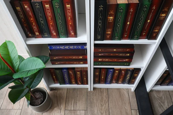 Shelf Unit Books Home Library — Stock Photo, Image