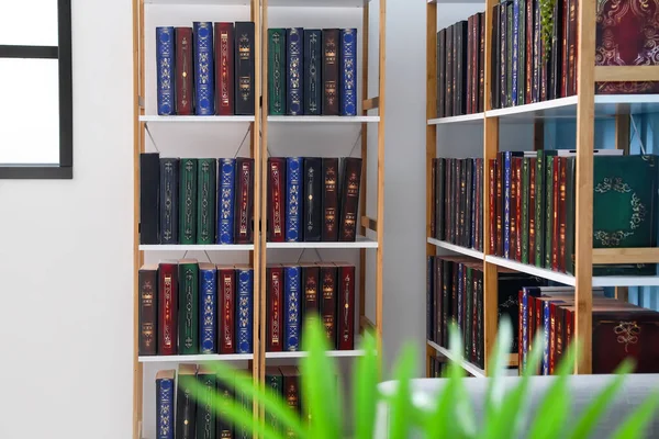 Современная Полка Книгами Домашней Библиотеке — стоковое фото