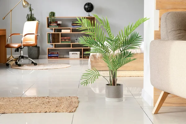 Green Houseplant Interior Stylish Room — Stock Photo, Image