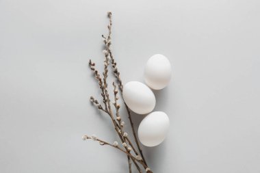 Easter eggs and pussy willow branches on light background